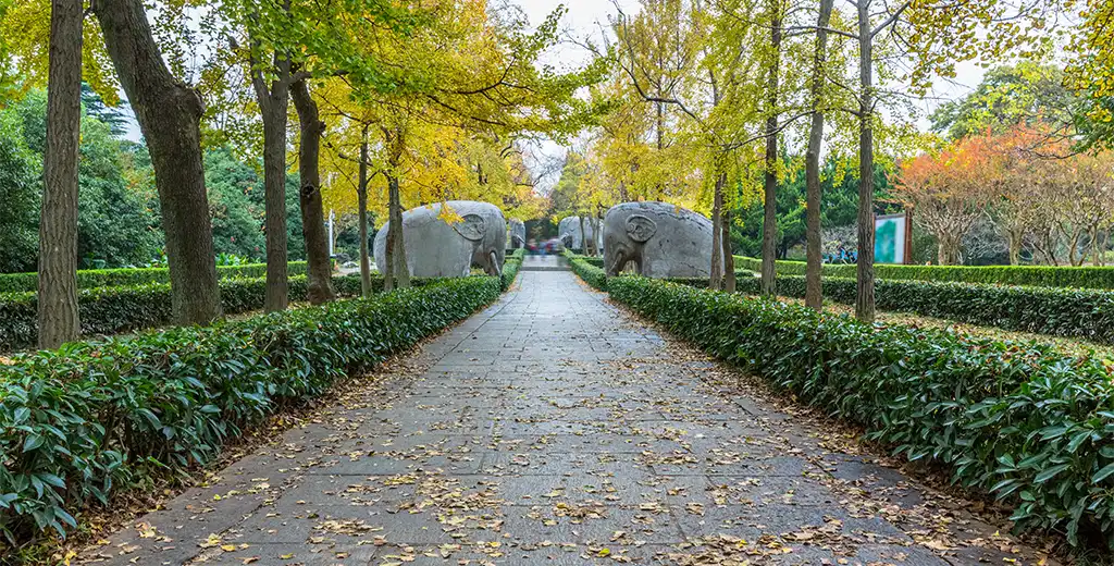 A tree-lined garden promenade at Godrej Florenne